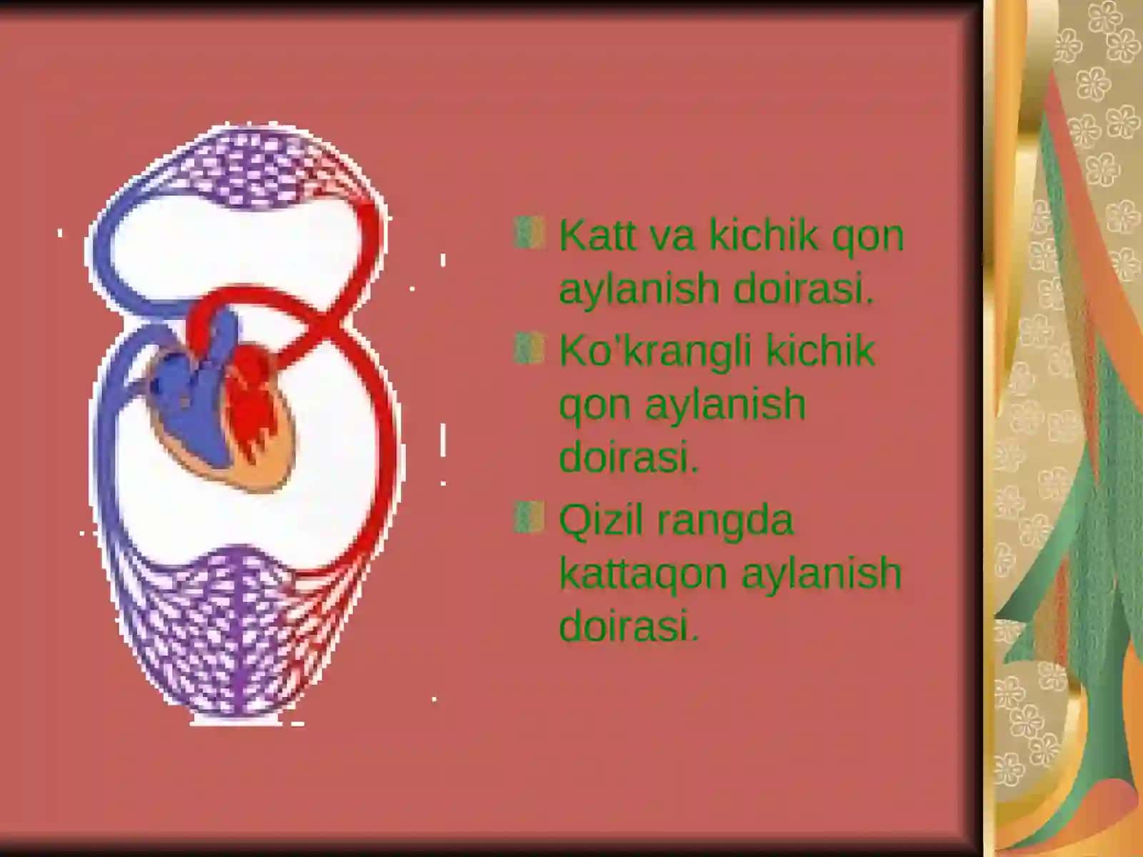 Yurak faoliyatining tovushli belgilari 4