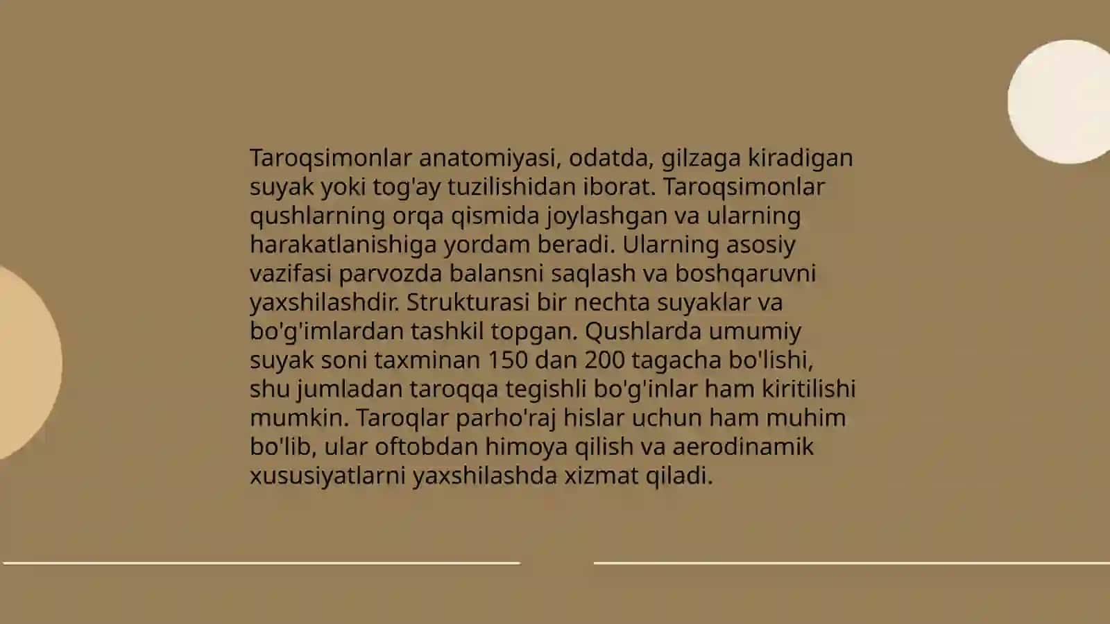 Boʼshliqichlilar va taroqsimonlar filogeniyasi 4