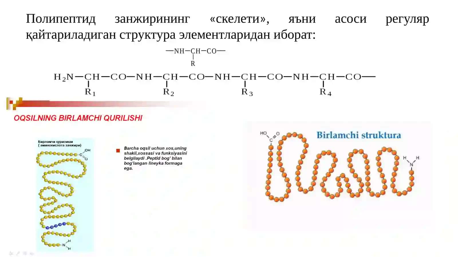 Оқсилларнинг элементар таркиби 4