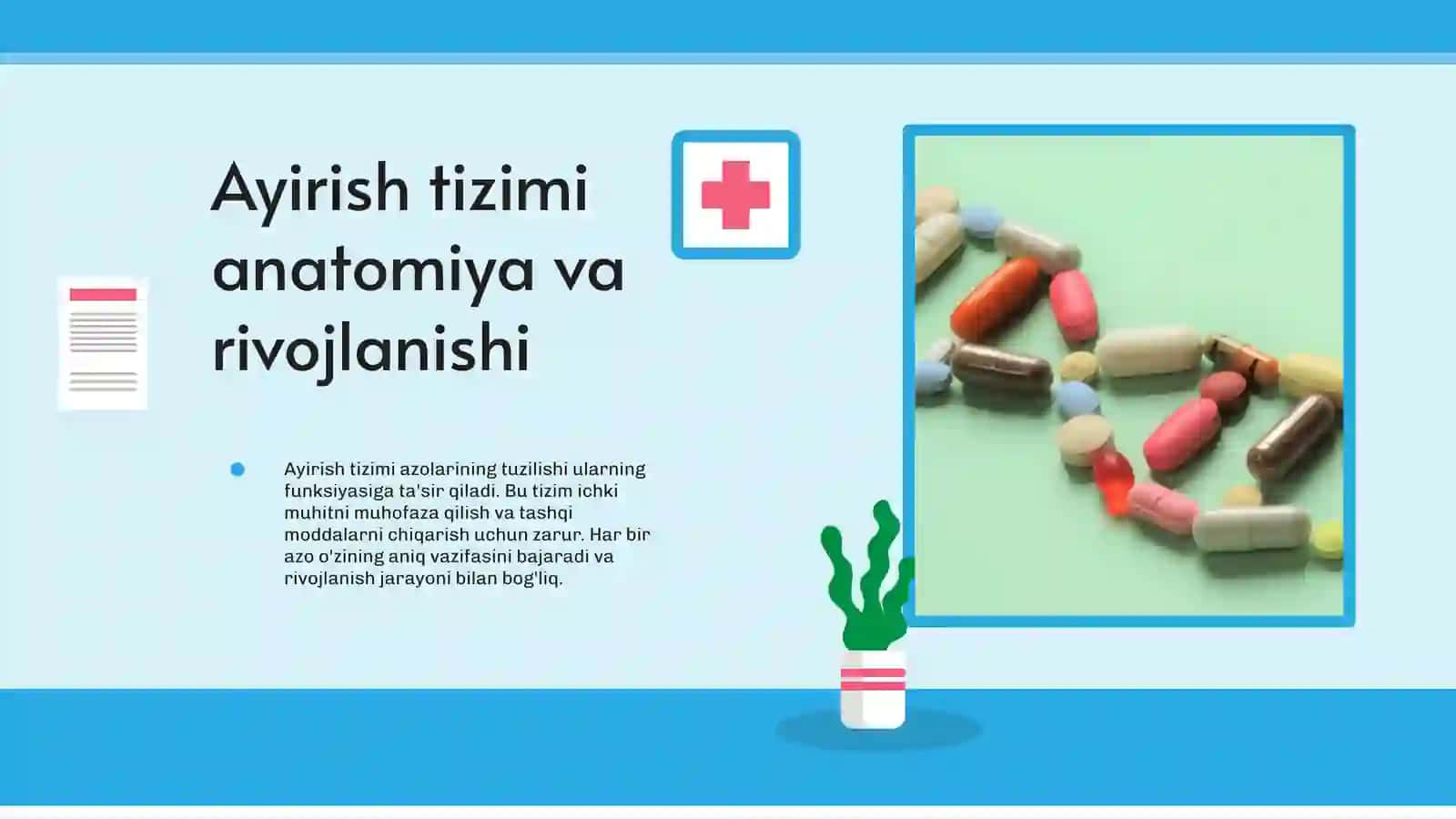 Azolar tuzilishi va fiziologiyasi 4