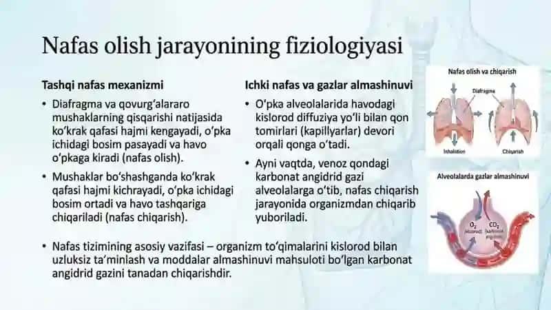 Nafas aʼzolari Kasalliklari 4