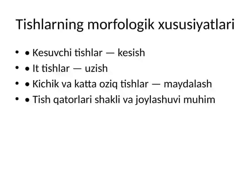 Chaynash apparatining morfofunktsional xususiyatlari 4