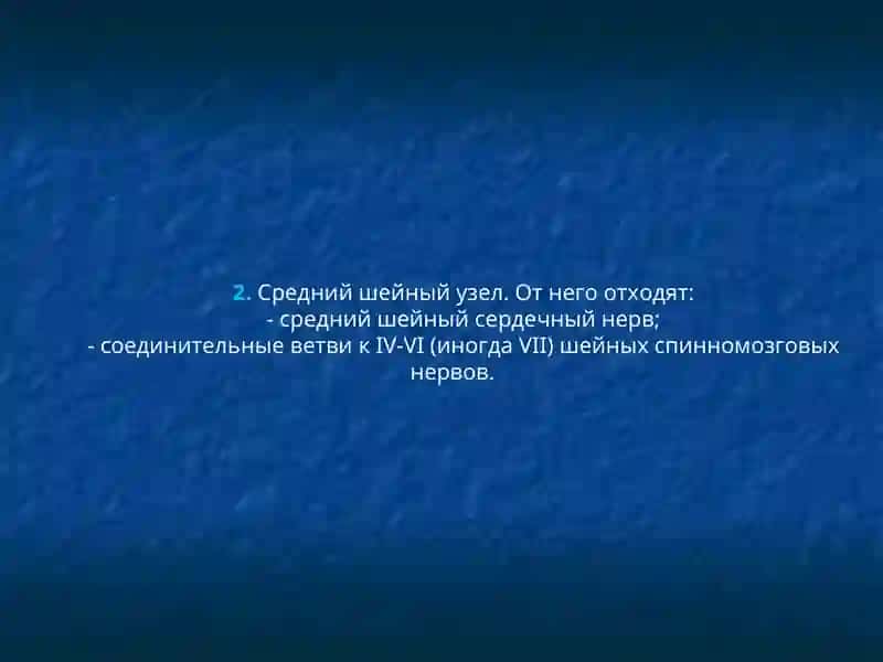 Верхний шейный узел 4