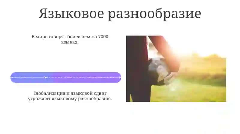 Информация о мировой и языковой статистике 4