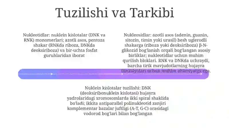 Nukleozidlar va nukleotidlar 4