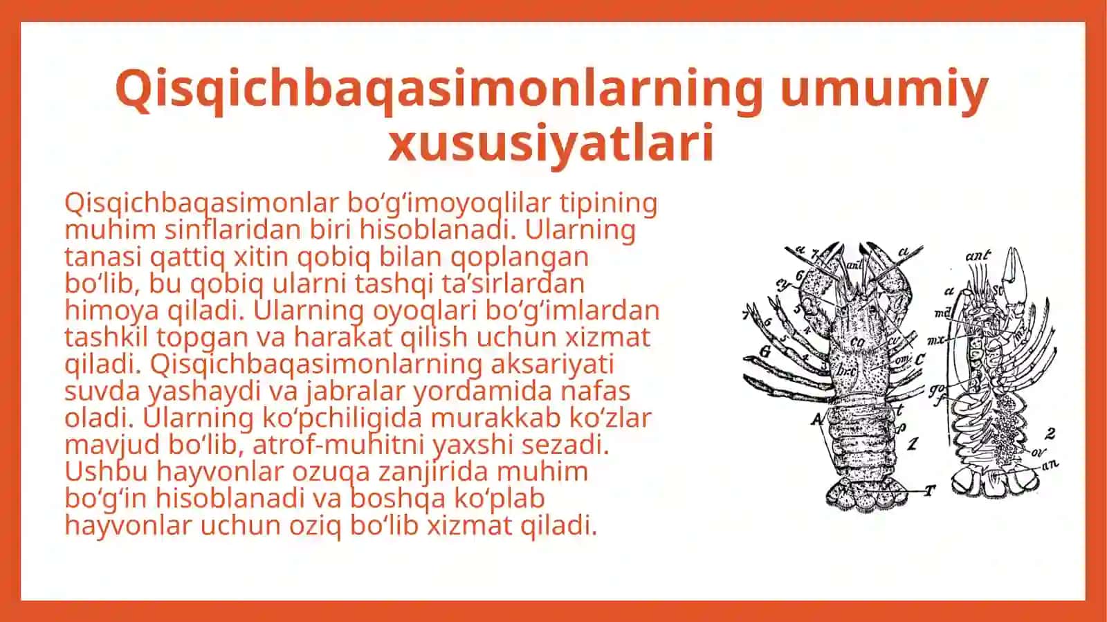 Qisqichbaqasimonlar (Crustacea) ning umumiy ta'rifi 4