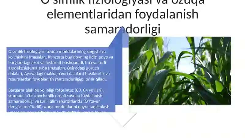 Sug'oriladigan dehqonchilikning fiziologik asoslari 4