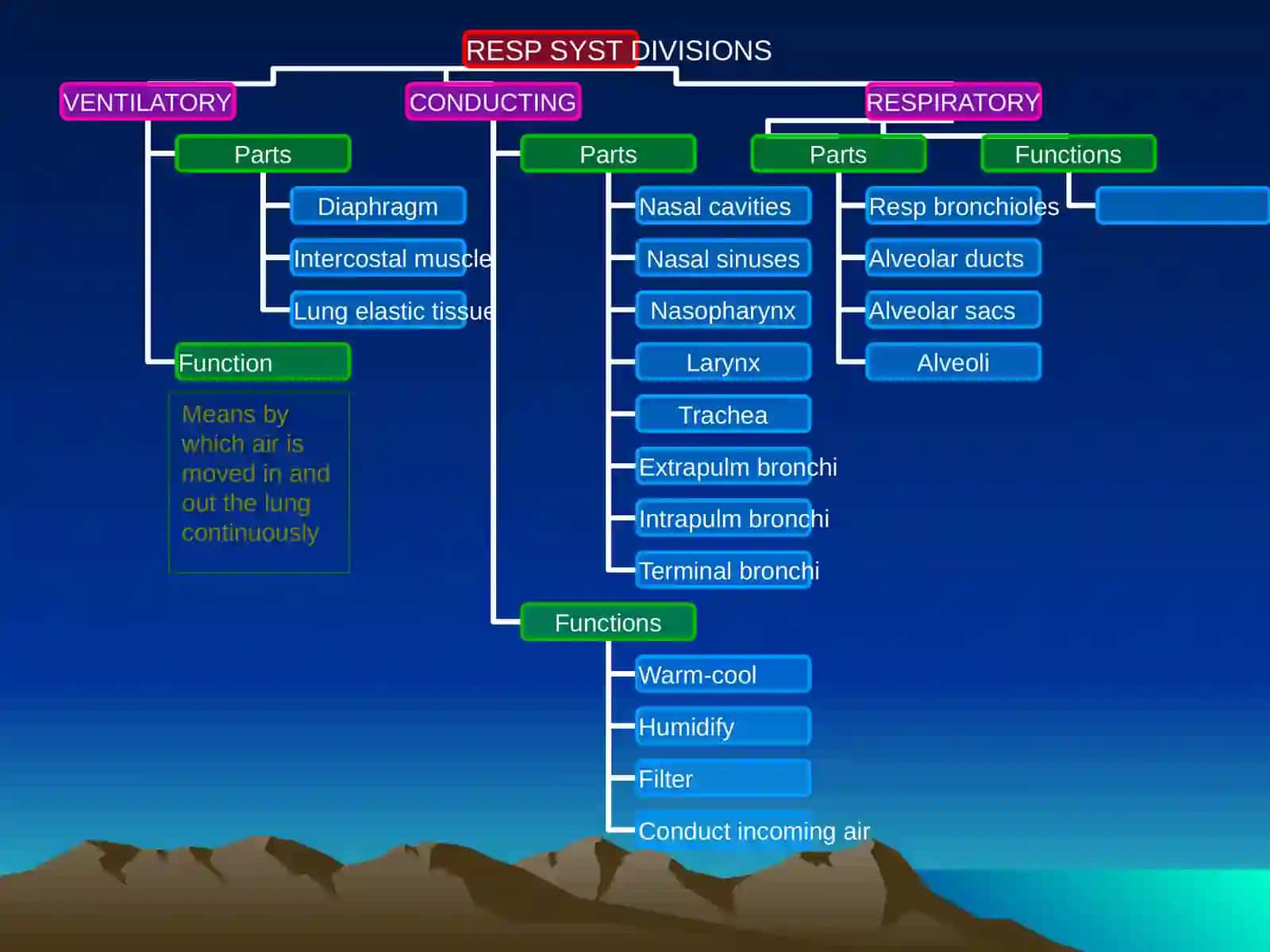 THE RESPIRATORY SYSTEM 4
