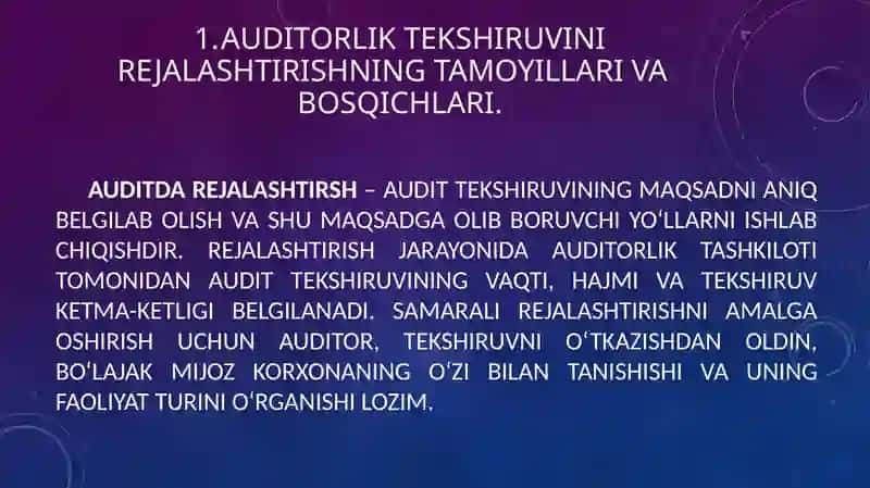 Auditorlik tekshiruvinirejalashtirish 4