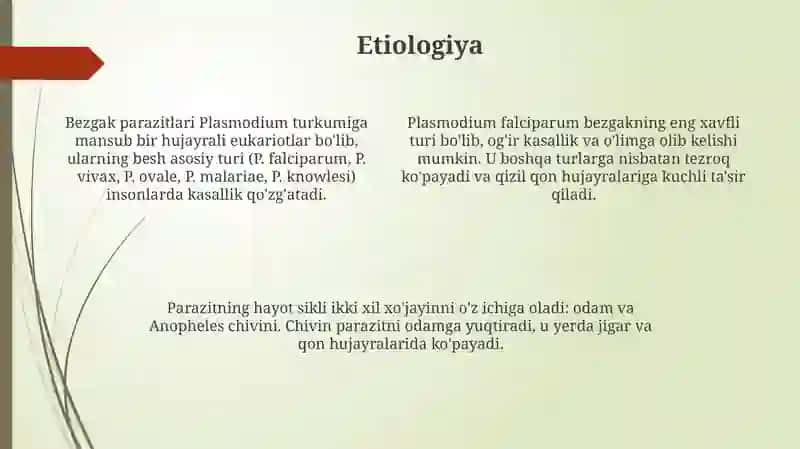Bezgak paraziti epidemiologiyasi 4