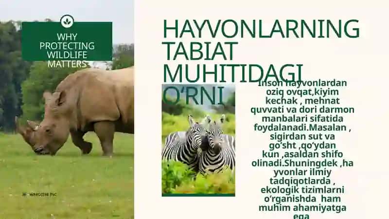 Hayvonot olamining Xilma-Xilligi 4