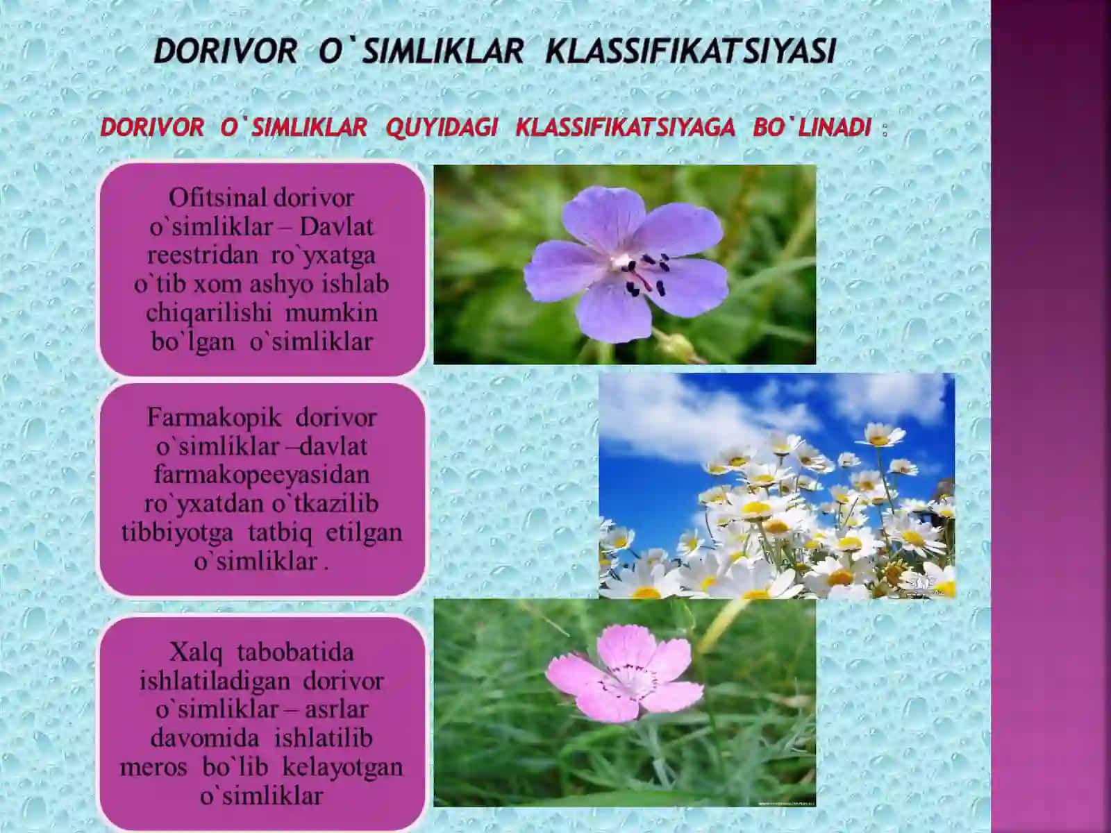 Tib qonunlari 4