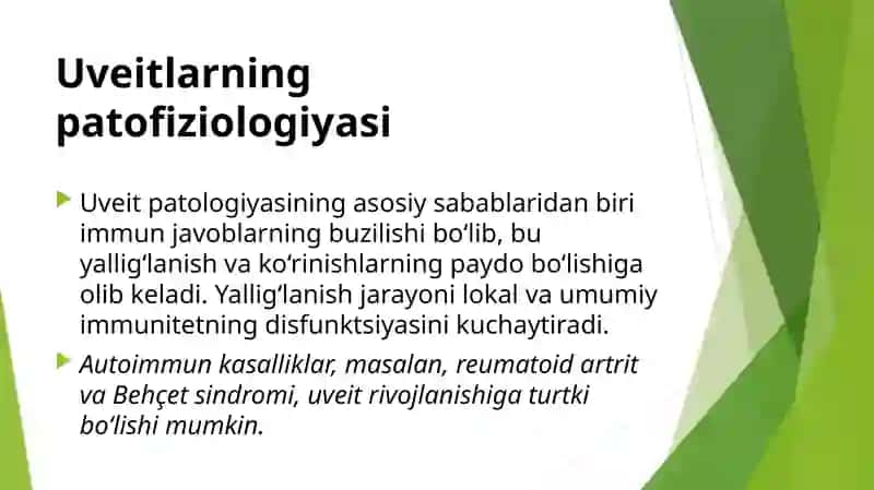 Uveitlarda ko‘rish pasayishi va ko‘rlikning profilaktikasi 4