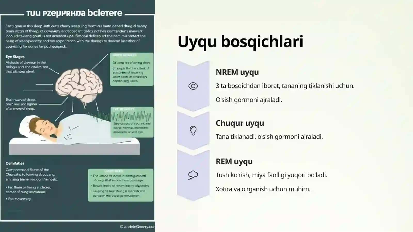 Uyqu va uning ahamiyati 4