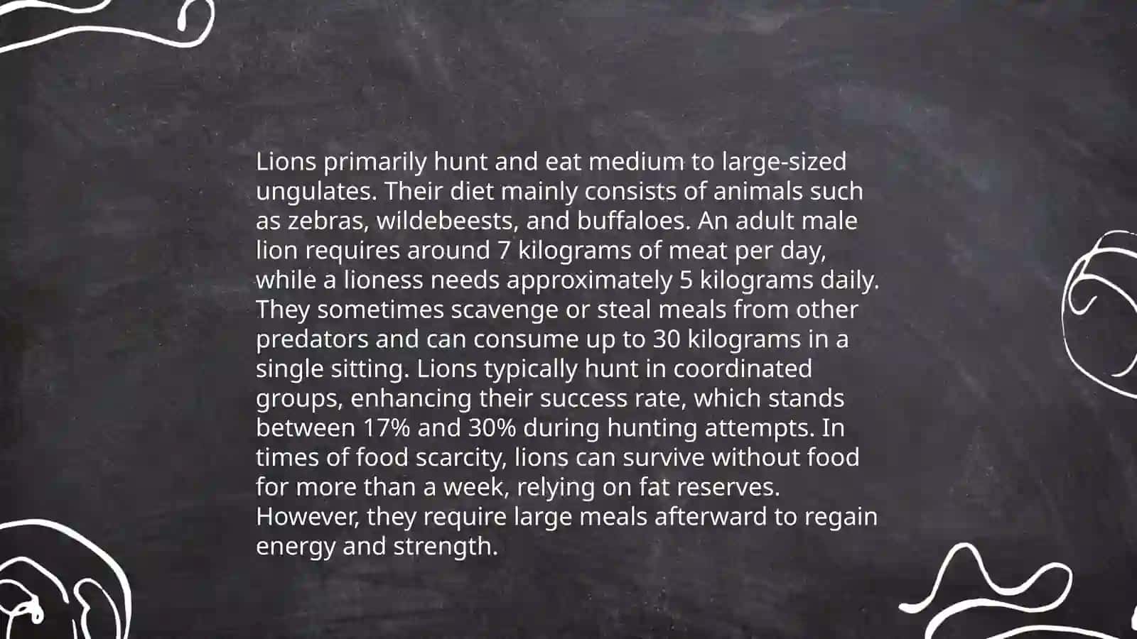 Lion 4