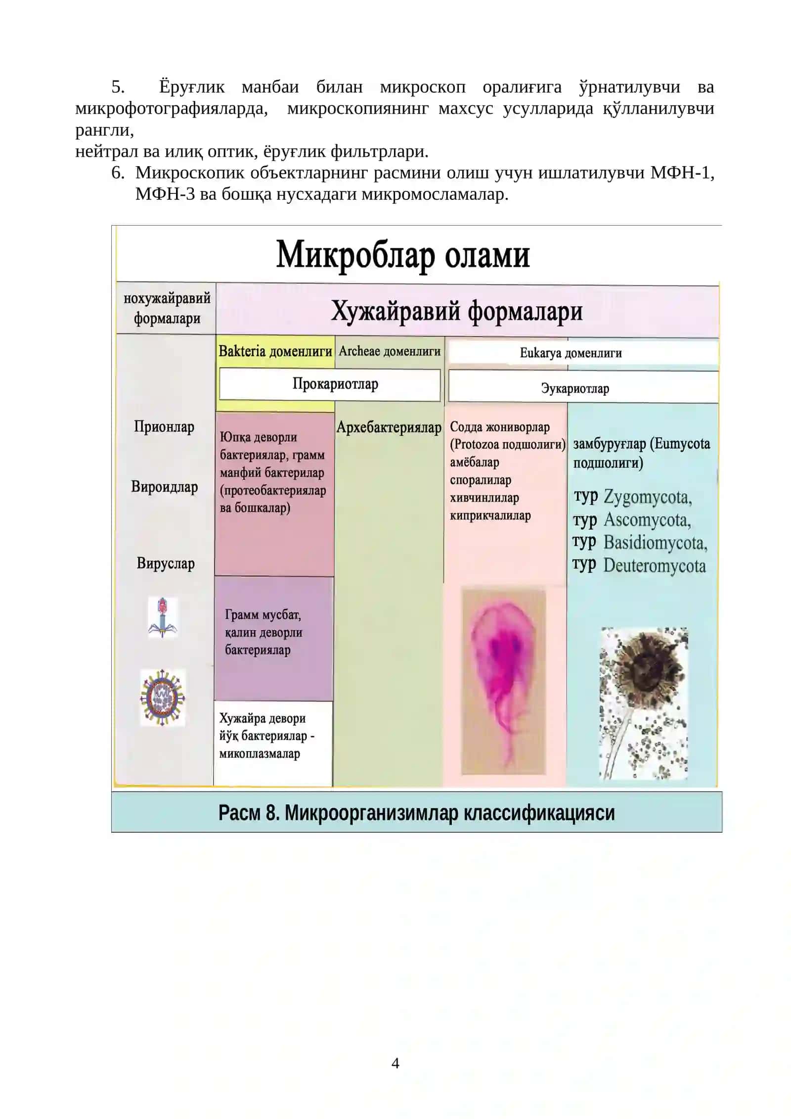 Бактериологик, вирусологик ва иммунологик лабораторияларнинг тузилиши ва жихозланиши. Микроорганизмлар ҳақида тушунча. Бактериологик лабораторияда ишлаш қоидалари. Бактерияларни ўрганиш усуллари. Суртма тайёрлаш техникаси, оддий бўяш усули. Шарсимон бактериялар морфологияси 4