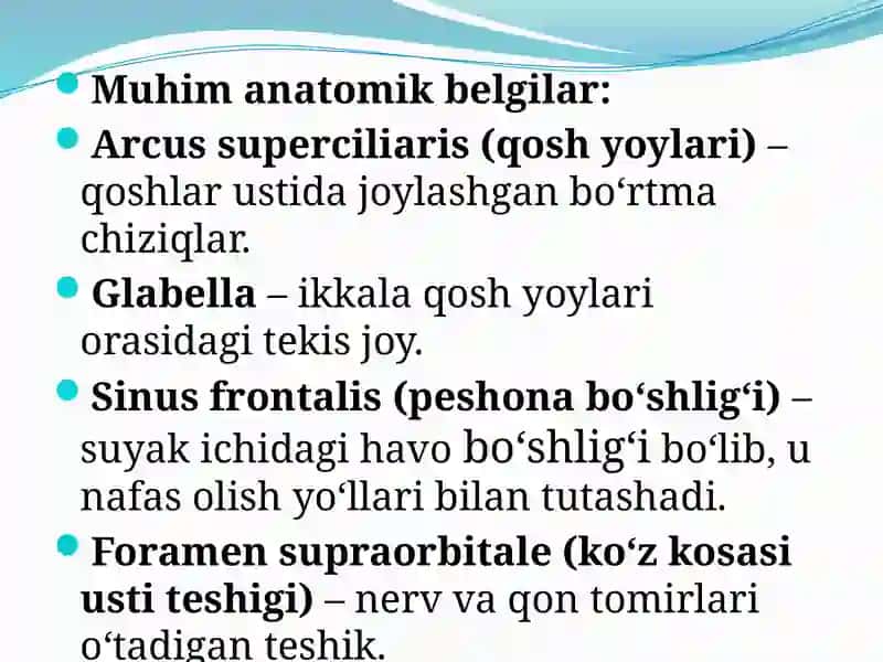 Peshona Suyagi 4