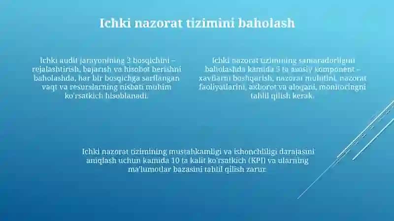 Korxonani auditorlik tekshiruvidan o’tkazish ishchi dasturi 4