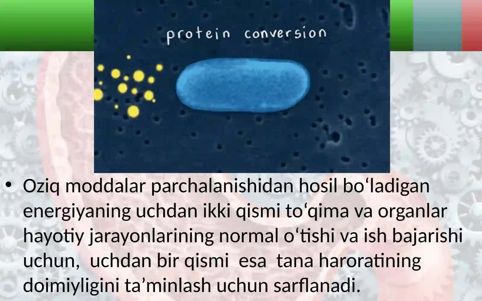 Energiya almashinuvi 4