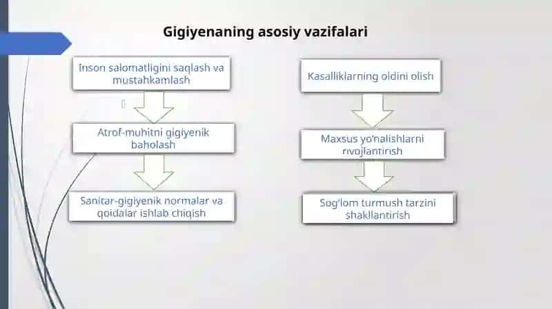 gigiyenaning rivojlanish tarixi 4