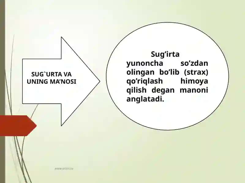 Sug'urta bozori va iqtisodiy xavfsizlik mavzusida mustaqil ish 4