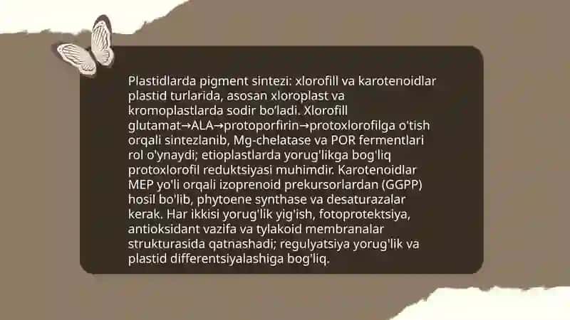Plastidalarning o’simlik organizmidagi ahamiyati 4