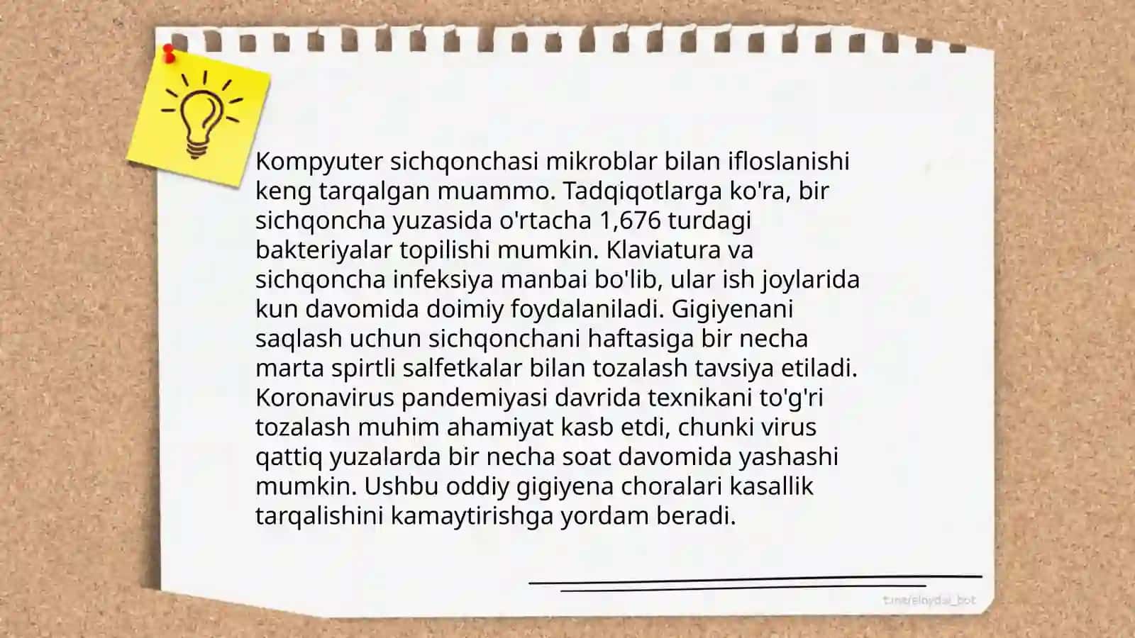 Kompyuter va telefonlarning bakterial kontaminatsiyasi 4
