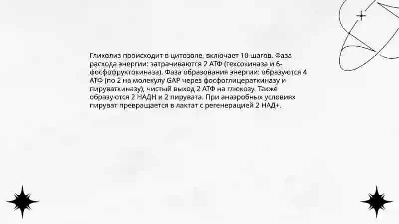 Образование и потребление энергии в процессе метаболизма 4