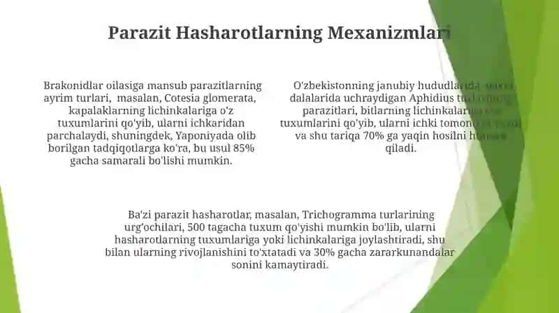 Parazit va Yirtqich Hashamatlarning Oziqlanish Usullari 4