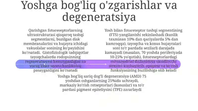 Fotoretseptor hujayralarining ultrastrukturasi va gistofiziologiyasi 4