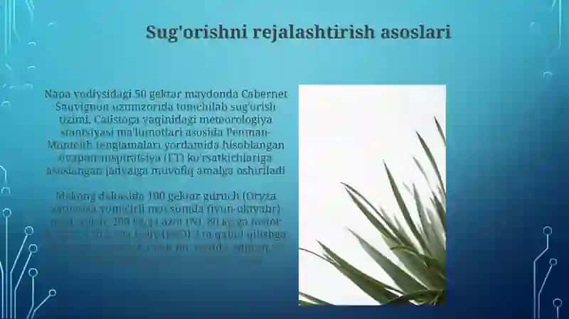Sug'orish va ozuqa moddalarini o'zlashtirish 4