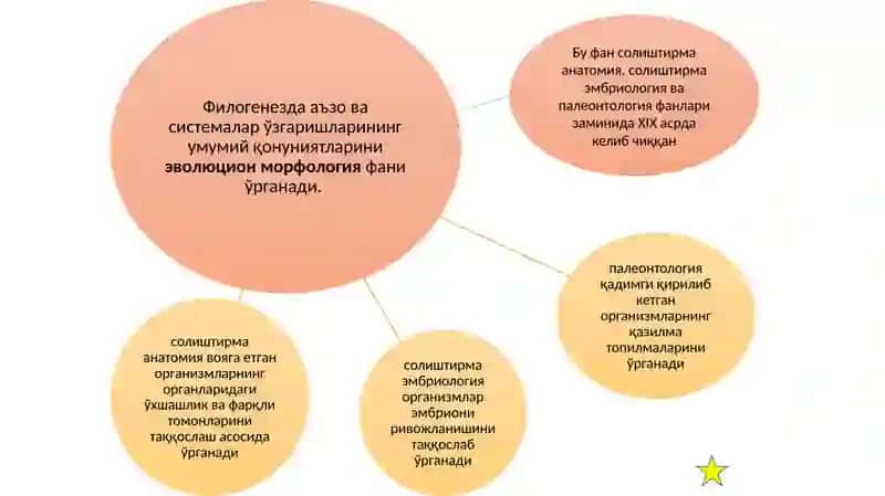 Эволюцион жараёнлар ва уларнинг умумий қонуниятлари 4