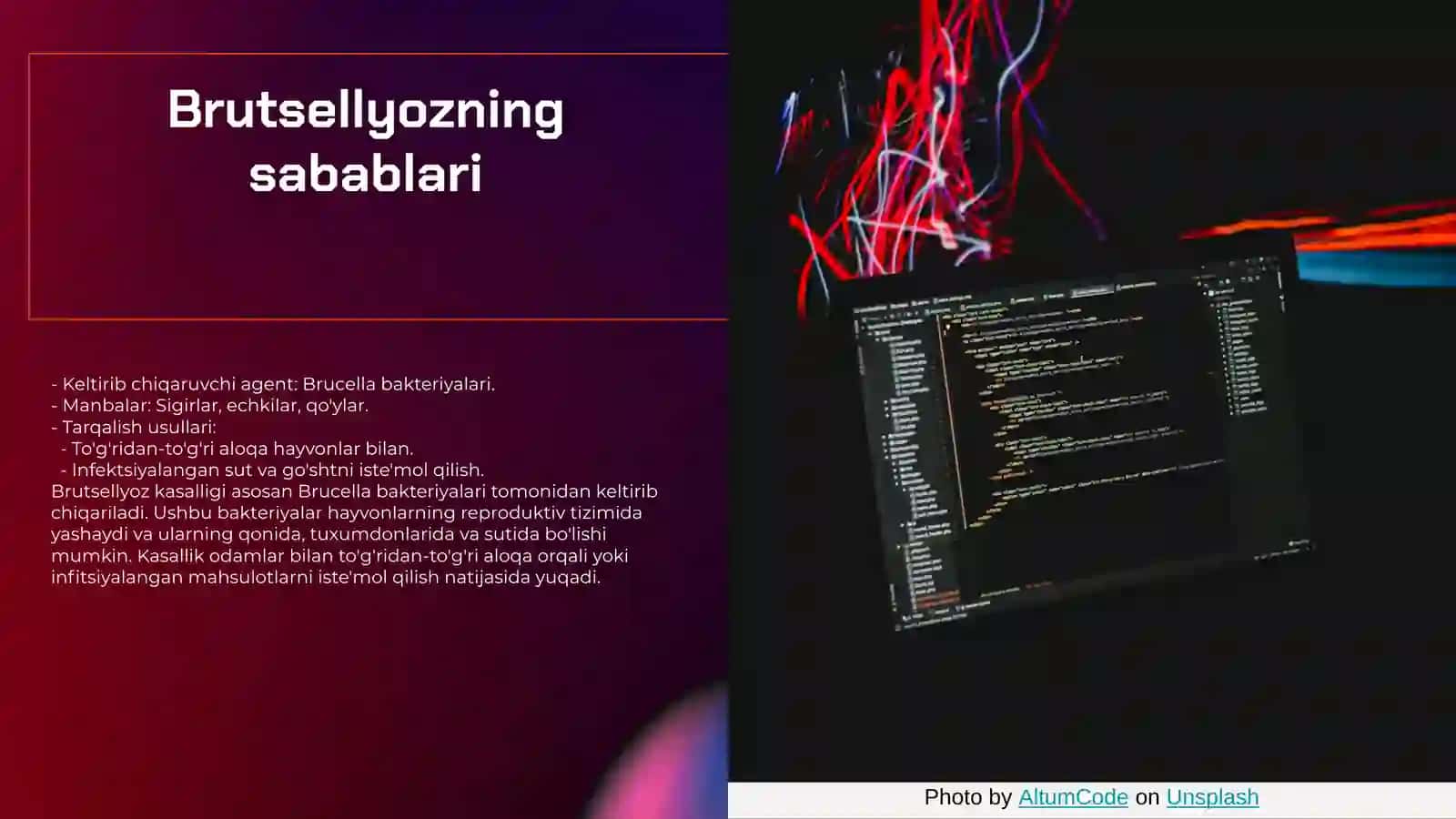 Hayvonlarda brutsellyoz kasalligi va klinik belgilari 4