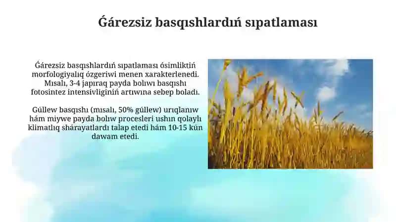 Ekinlerdiń rawajlanıw basqıshlarınıń ónimlilikke tásiri hám ilimiy izertlewler 4