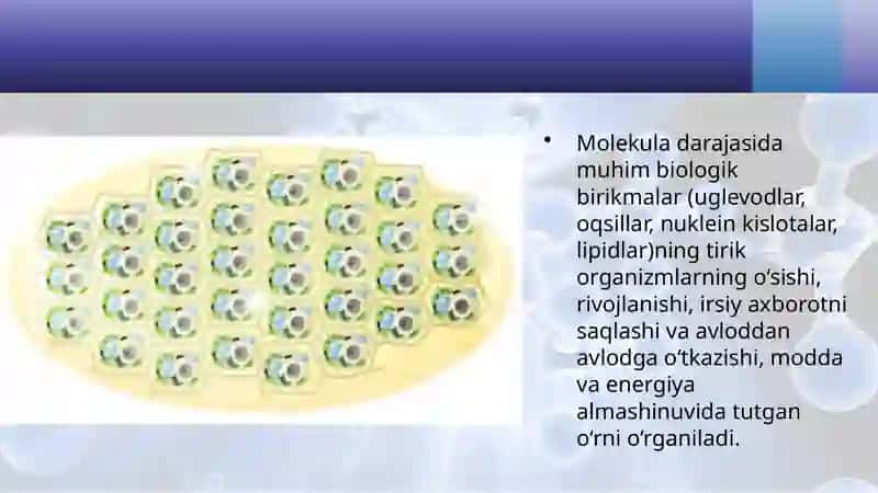 Hayotning molekula darajasi va uning o‘ziga xos jihatlari 4