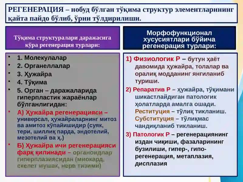АНДИЖОН ДАВЛАТ ТИББИЁТ ИНСТИТУТИ ПАТОЛОГИК АНАТОМИЯ “КОМПЕНСАТОР-МОСЛАНИШ ЖАРАЁНЛАРИ. РЕГЕНЕРАЦИЯ.” 4