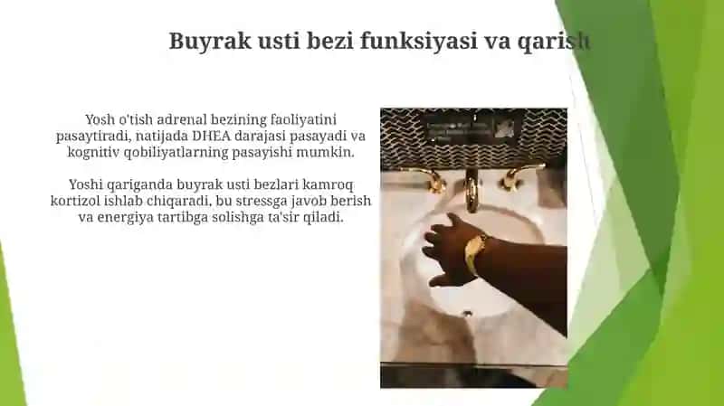 Endokrin tizimining yoshga doir fiziologiyasi va gigiyenasi 4