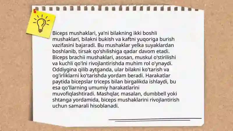 Qo'l mushaklari anatomiyasi 4