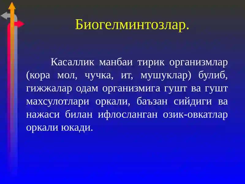 Гижжалар шаклига гуруҳлари 4