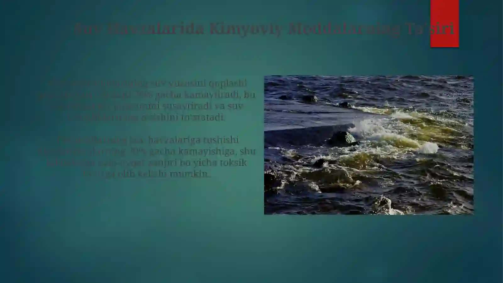 Suv Ekosistemalarining Kimyoviy Ifloslanishi 4