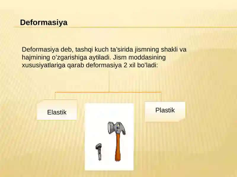 «Biomexanika» 4
