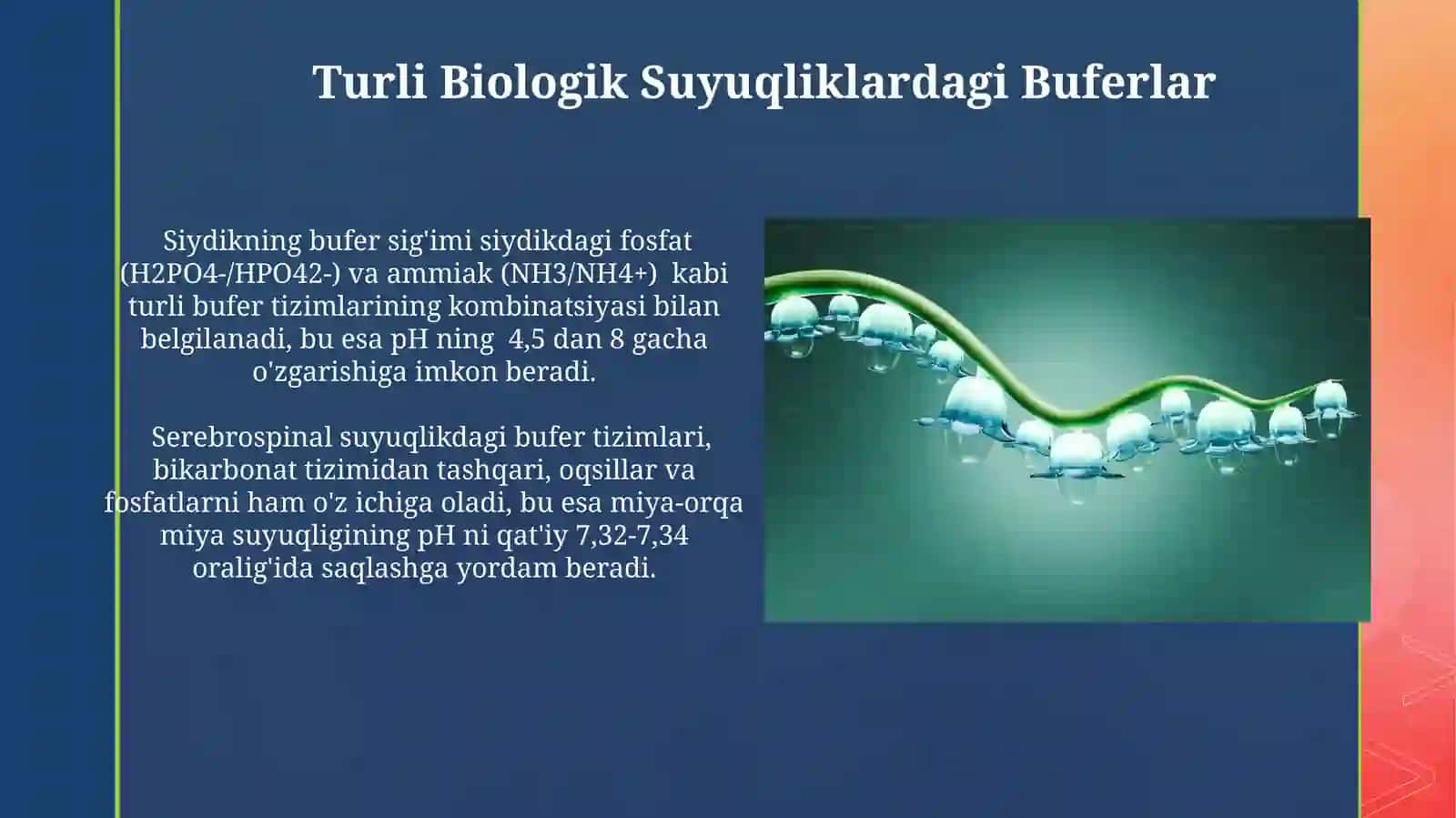 Bufer tizimlar klinik izlanishlarda biologik suyuqliklarda bufersiğiminianiqlash 4