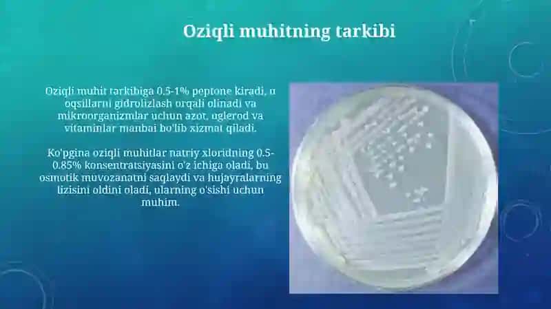 Oziqli muhitlar 4
