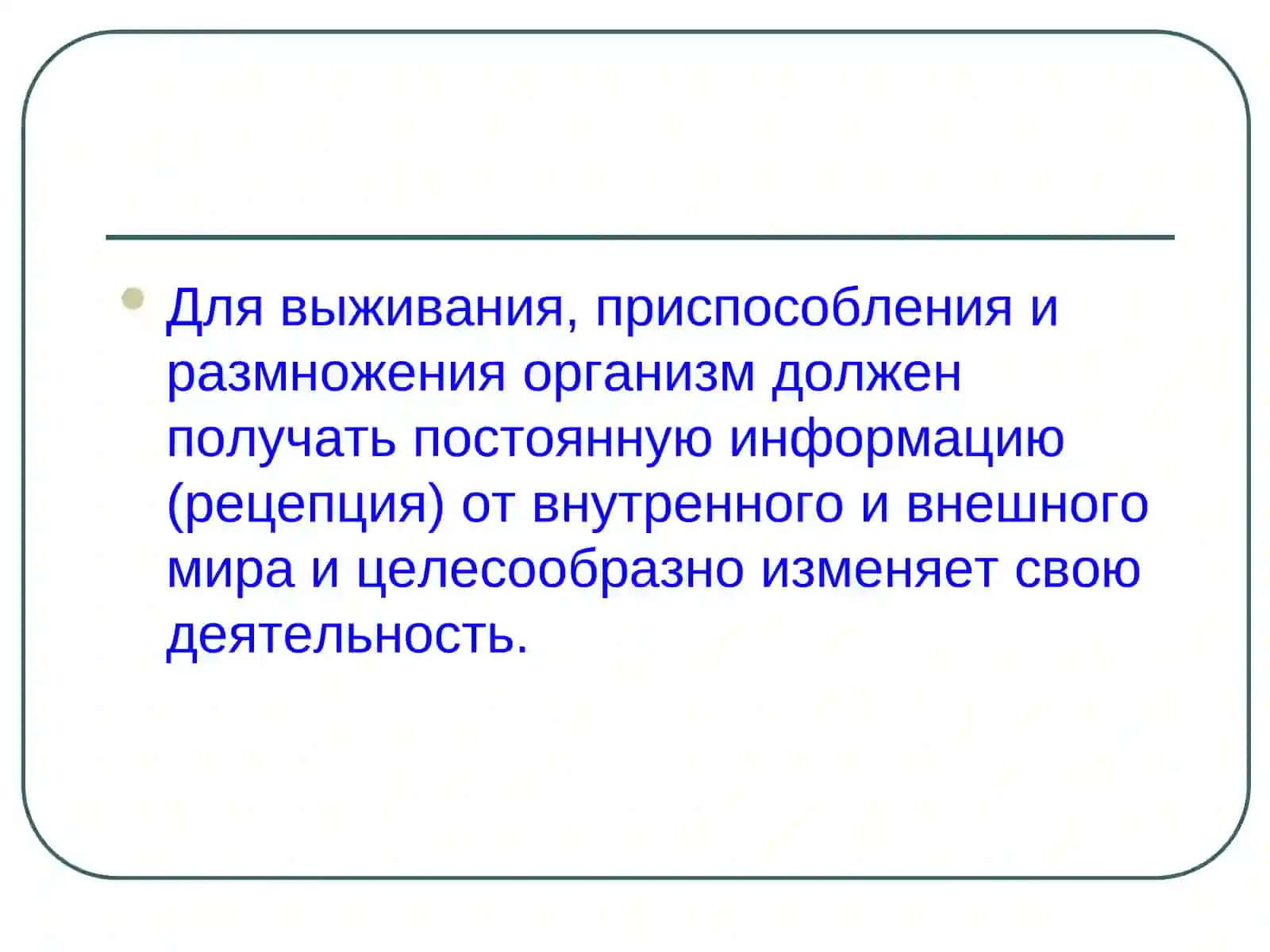 Физиология анализаторов 4