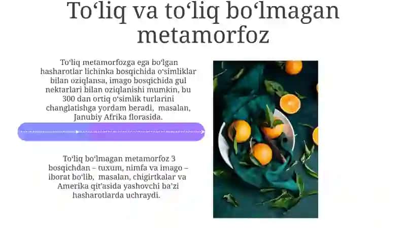 Metamorfozning umurtqasizlar hayotidagi ahamiyati 4