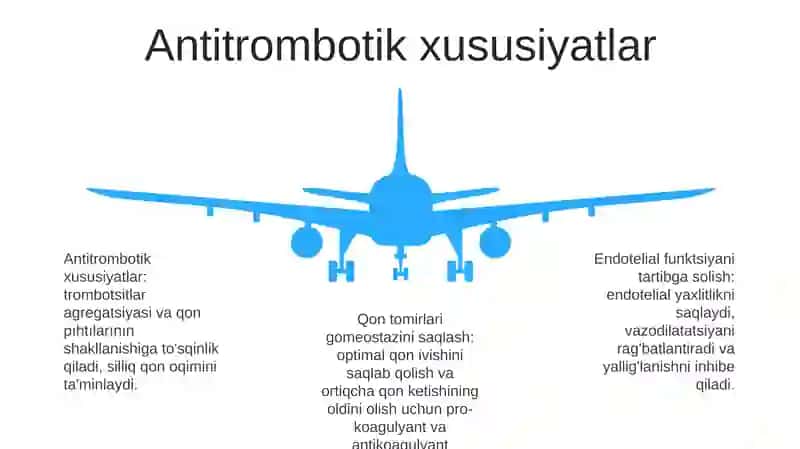 Qon Tomir Endoteliyasining Funktsiyalari 4