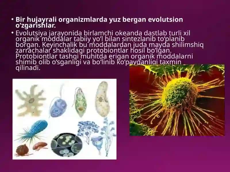 Hayvonotdunyosidagi evolutsiono‘zgarishlar 4