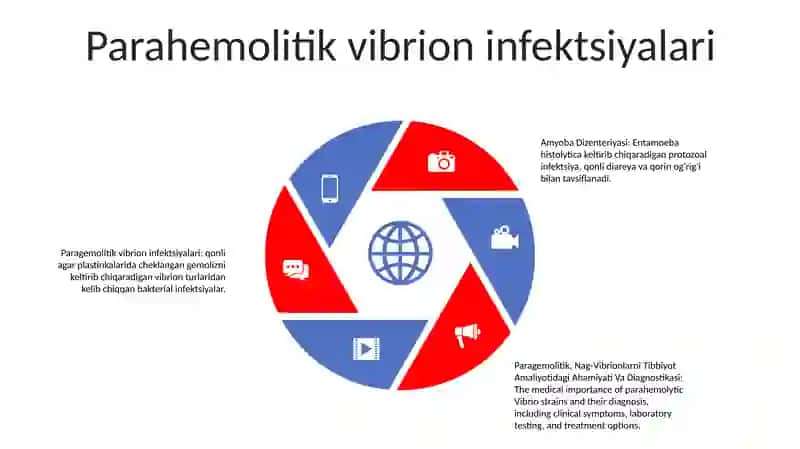 Amyoba Dizenteriyasi, Paragemolitik, Nag-Vibrionlarni Tibbiyot Amaliyotidagi Ahamiyati Va Diagnostikasi 4