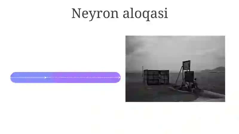 Hujayra Neyrofiziologiyasi 4