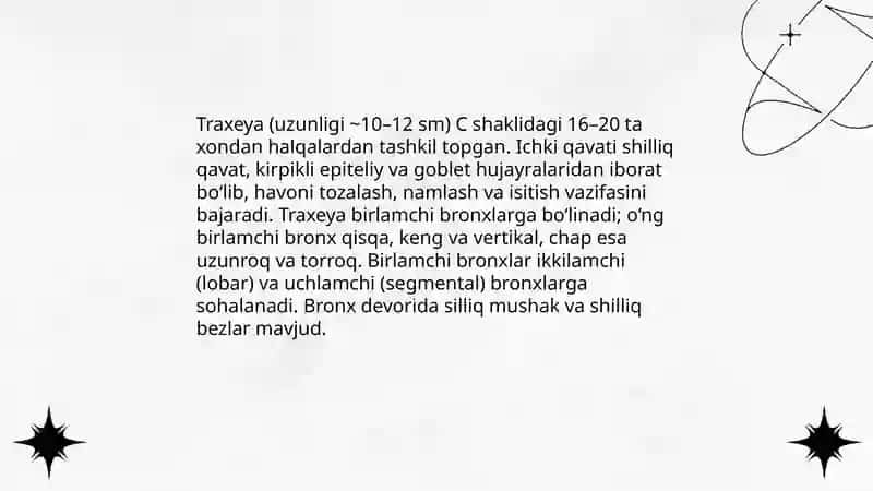 Nafas olish sistemasi 4